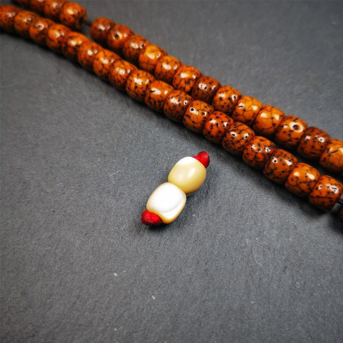 1 Pair of Fish Bone Skull Beads 0.3" - Tibetan Buddhist art, view 4