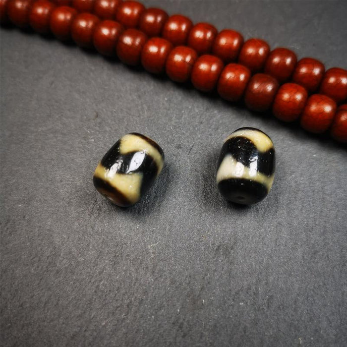 1 Pair of Tiger Tooth Dzi Beads 0.47" - Tibetan dzi bead, front view