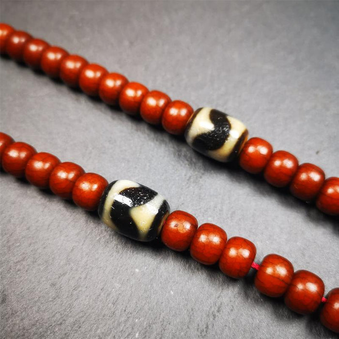 1 Pair of Tiger Tooth Dzi Beads 0.47" - Tibetan dzi bead, view 4