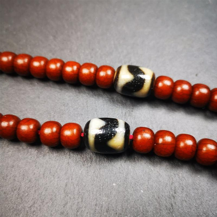 1 Pair of Tiger Tooth Dzi Beads 0.47" - Tibetan dzi bead, view 5