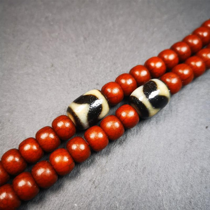 1 Pair of Tiger Tooth Dzi Beads 0.47" - Tibetan dzi bead, view 6