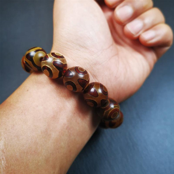 3 Eyes Dzi Bead Bracelet 0.63" - Tibetan dzi bead, view 8