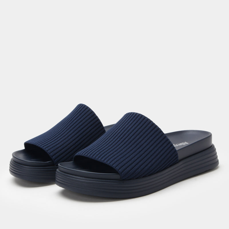 Akimi Navy Sandal | Alegria Shoes