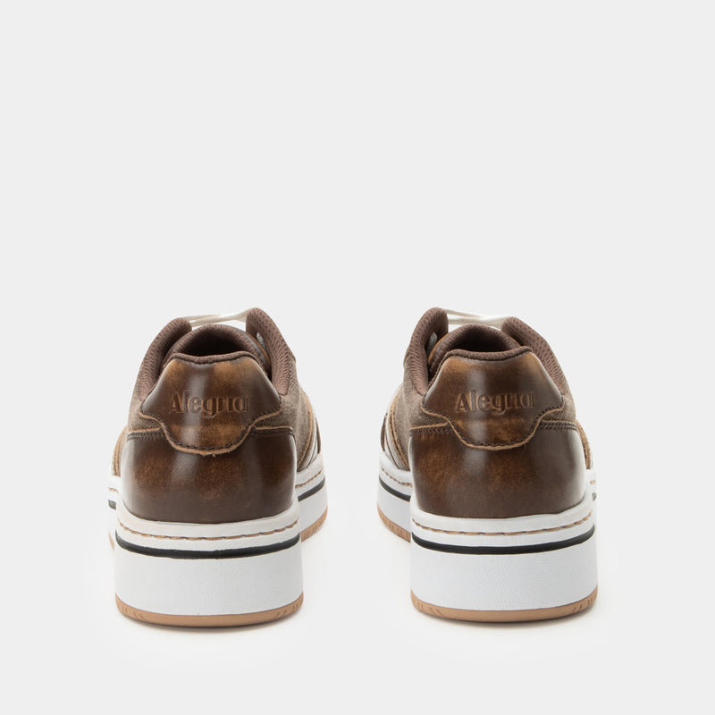 Alyster Brown Shoe | Alegria Shoes