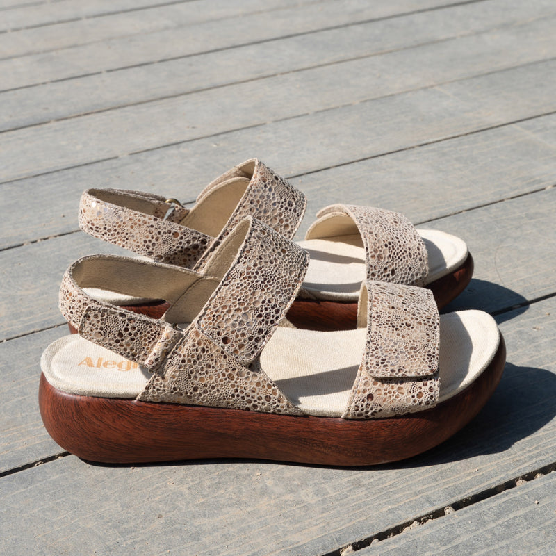 Bailee Walkway Sandal | Alegria Shoes