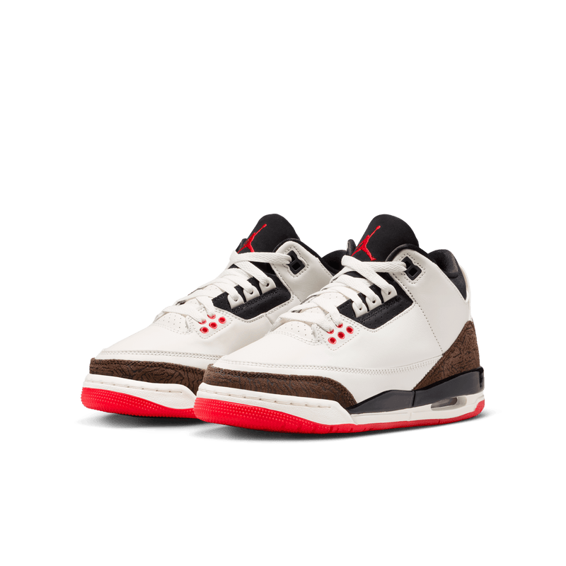 Big Kids' Air Jordan 3 Retro "World's Best"