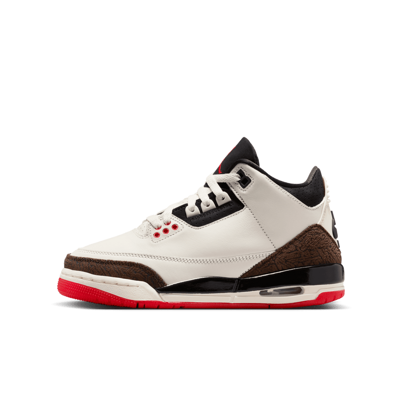 Big Kids' Air Jordan 3 Retro "World's Best"