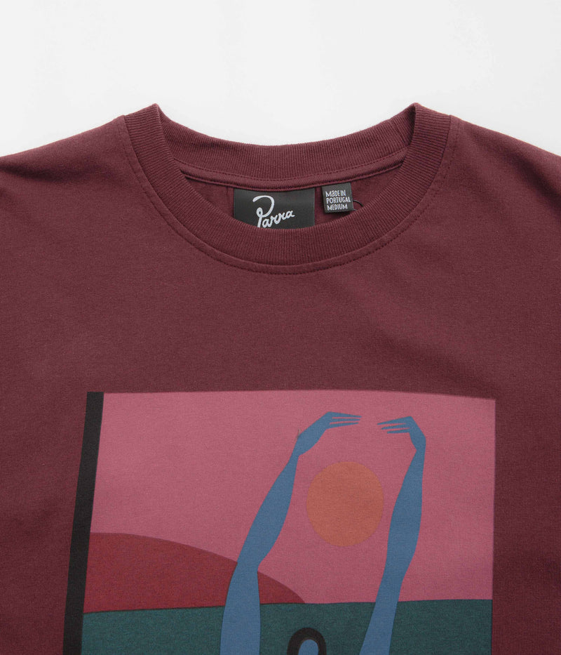 by Parra Protect The Sun T-Shirt in Dark Burgundy