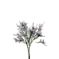 Caspia Lavender