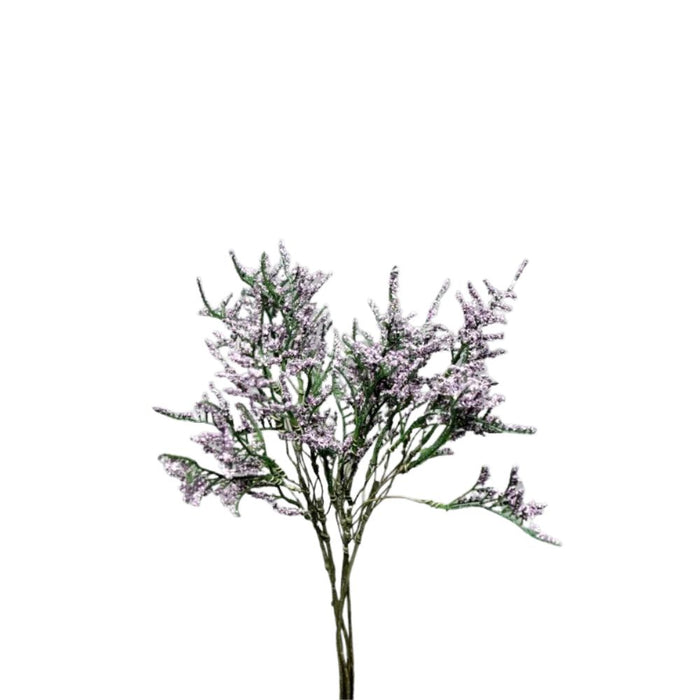 Caspia Lavender