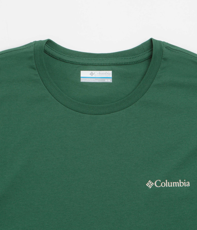 Columbia Barton Springs Graphic T-Shirt in Rain Forest and Dark Stone