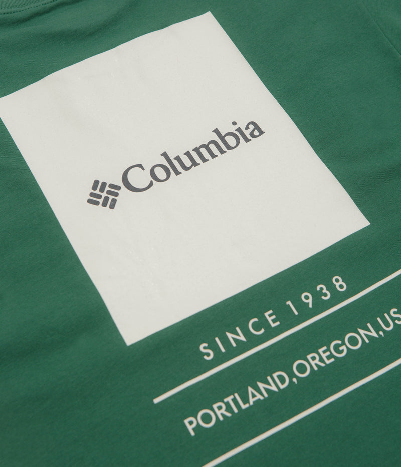 Columbia Barton Springs Graphic T-Shirt in Rain Forest and Dark Stone