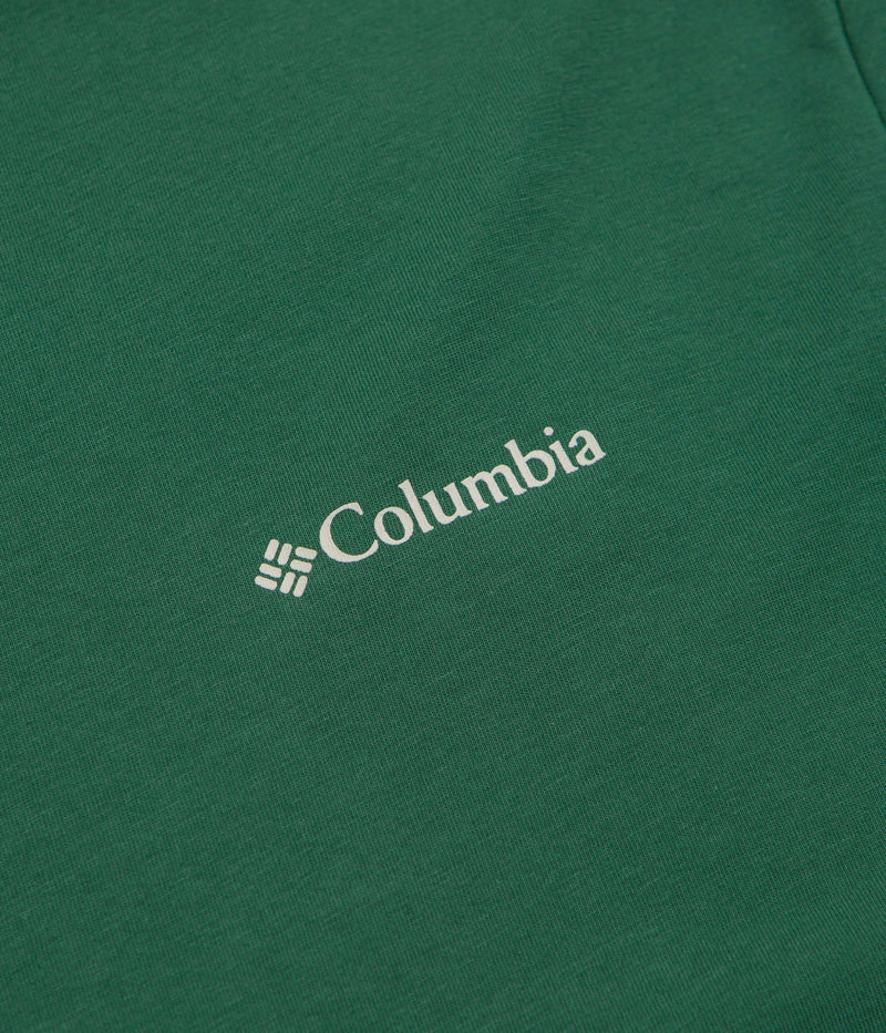 Columbia Barton Springs Graphic T-Shirt in Rain Forest and Dark Stone