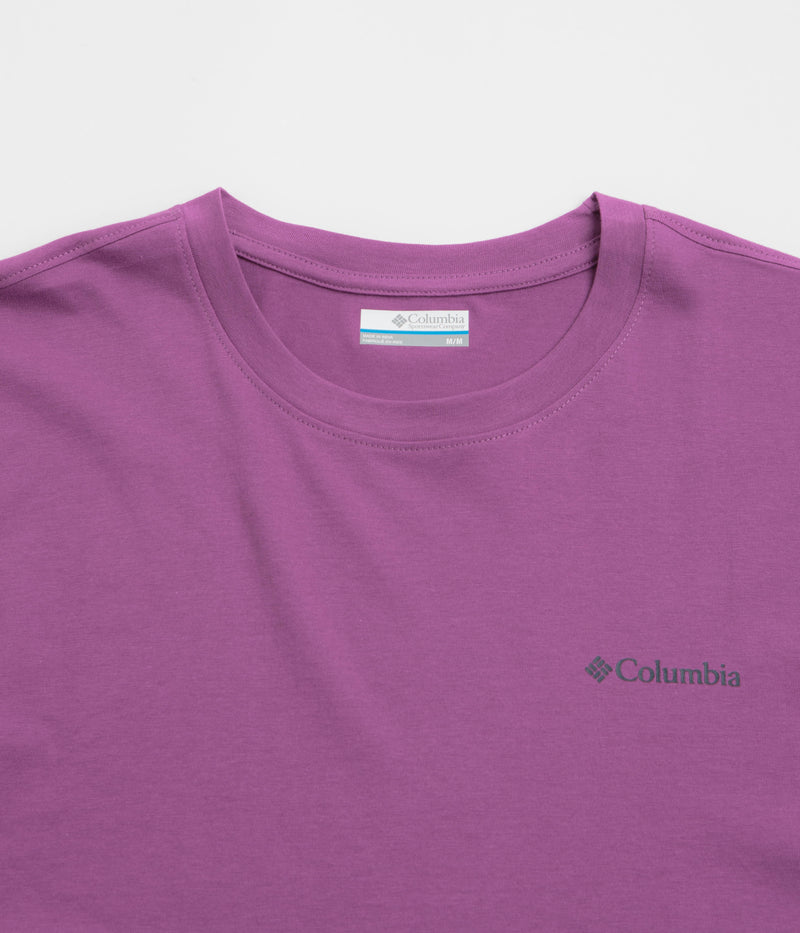 Columbia Black Butte Graphic T-Shirt in Razzle and Linear View