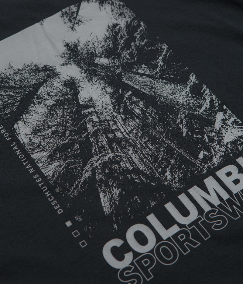 Columbia Rapid Ridge Back Graphic II T-Shirt in Black and Amazing Heights