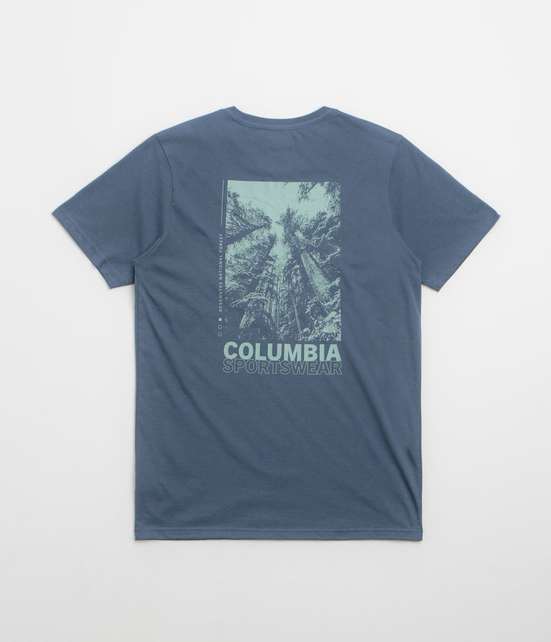 Columbia Rapid Ridge Back Graphic II T-Shirt in Dark Mountain and Amazing Heights