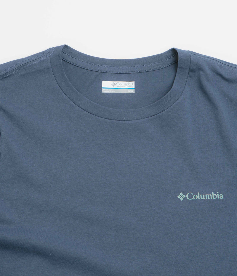 Columbia Rapid Ridge Back Graphic II T-Shirt in Dark Mountain and Amazing Heights