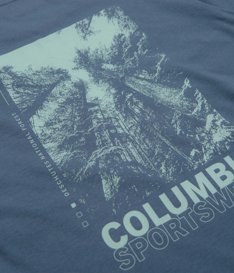 Columbia Rapid Ridge Back Graphic II T-Shirt in Dark Mountain and Amazing Heights