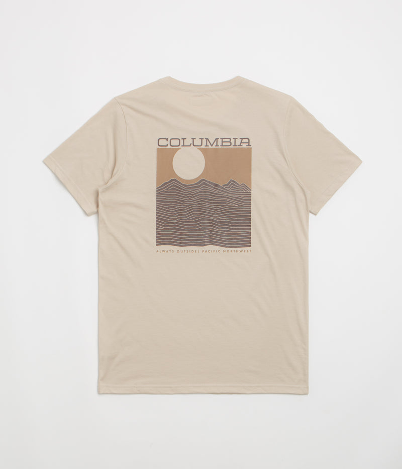 Columbia Rapid Ridge Back Graphic II T-Shirt in Dark Stone and Framed Landscape