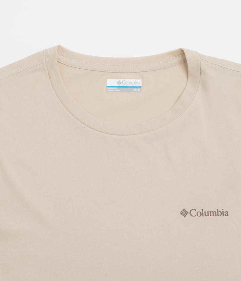 Columbia Rapid Ridge Back Graphic II T-Shirt in Dark Stone and Framed Landscape
