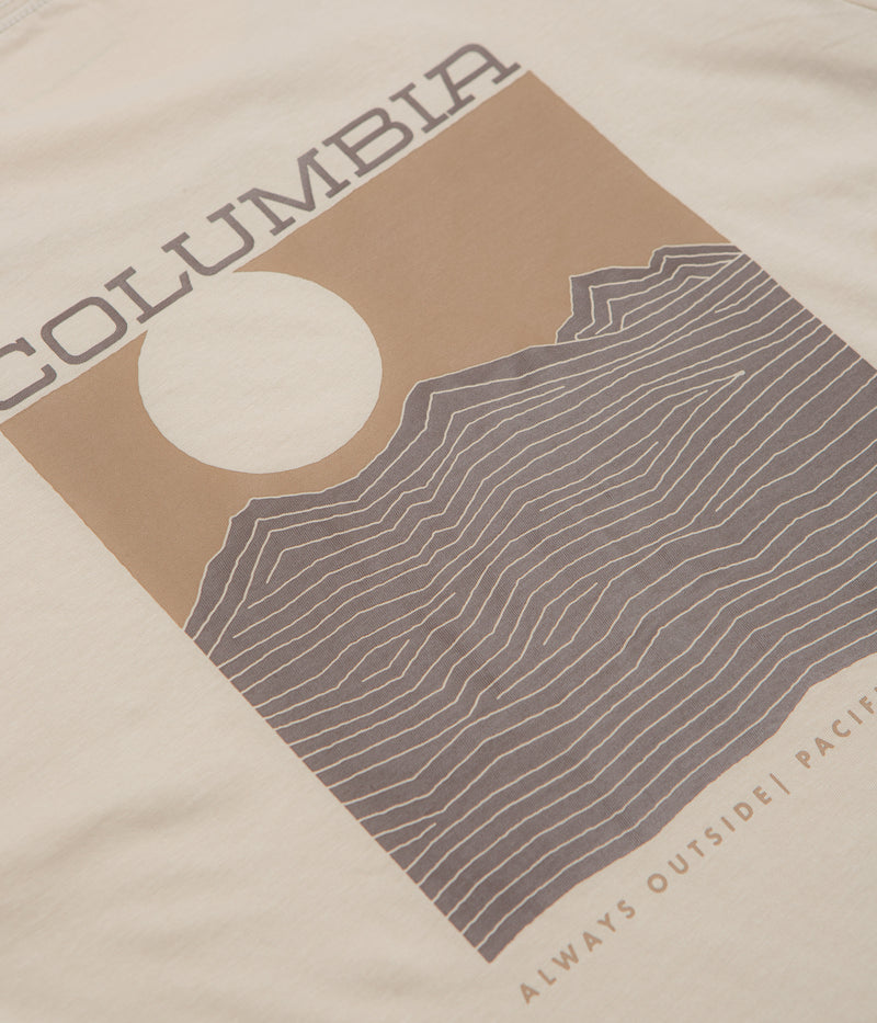 Columbia Rapid Ridge Back Graphic II T-Shirt in Dark Stone and Framed Landscape