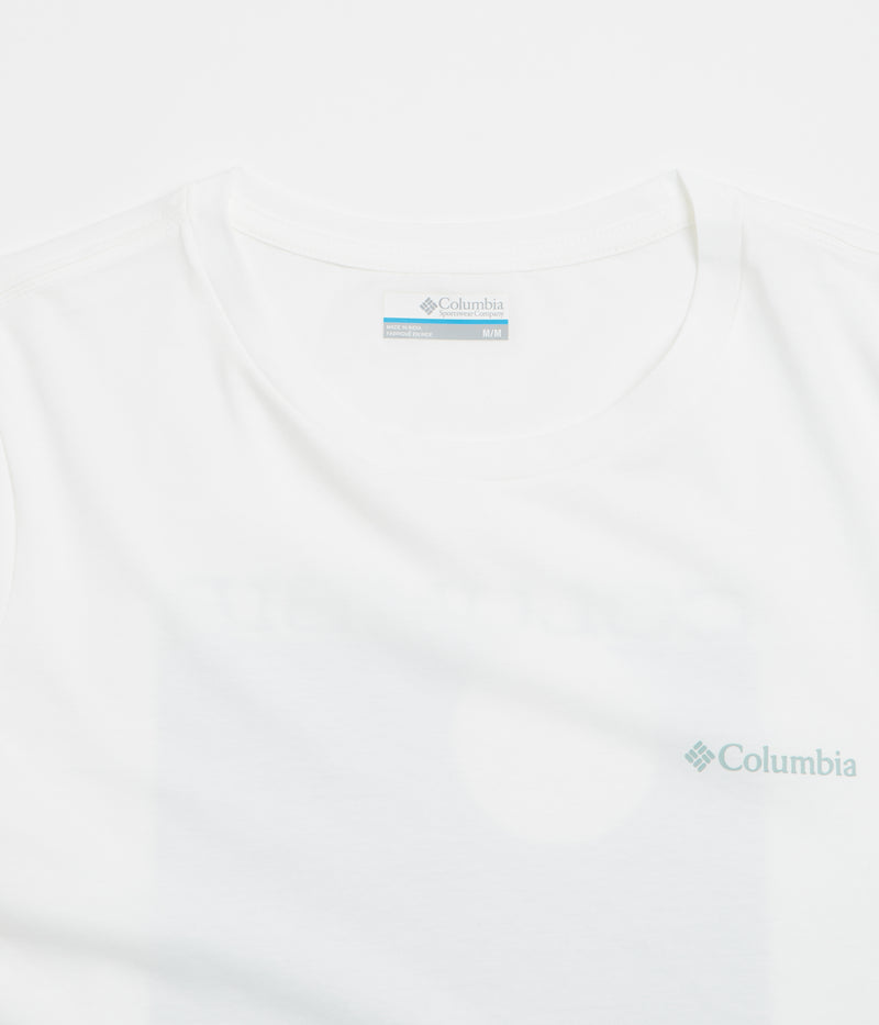 Columbia Rapid Ridge Back Graphic II T-Shirt in White and Framed Landscape