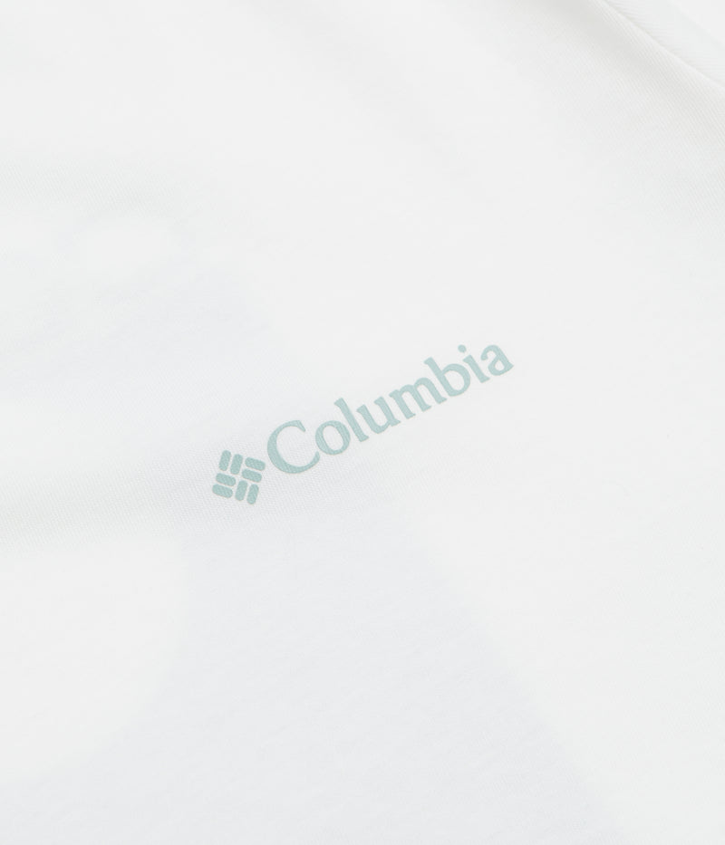 Columbia Rapid Ridge Back Graphic II T-Shirt in White and Framed Landscape