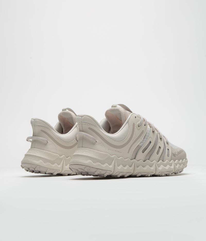 Columbia Voyager FLX PCT Shoes in Cloud Grey and Soft Taupe
