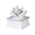 Coral Lid Decor Box