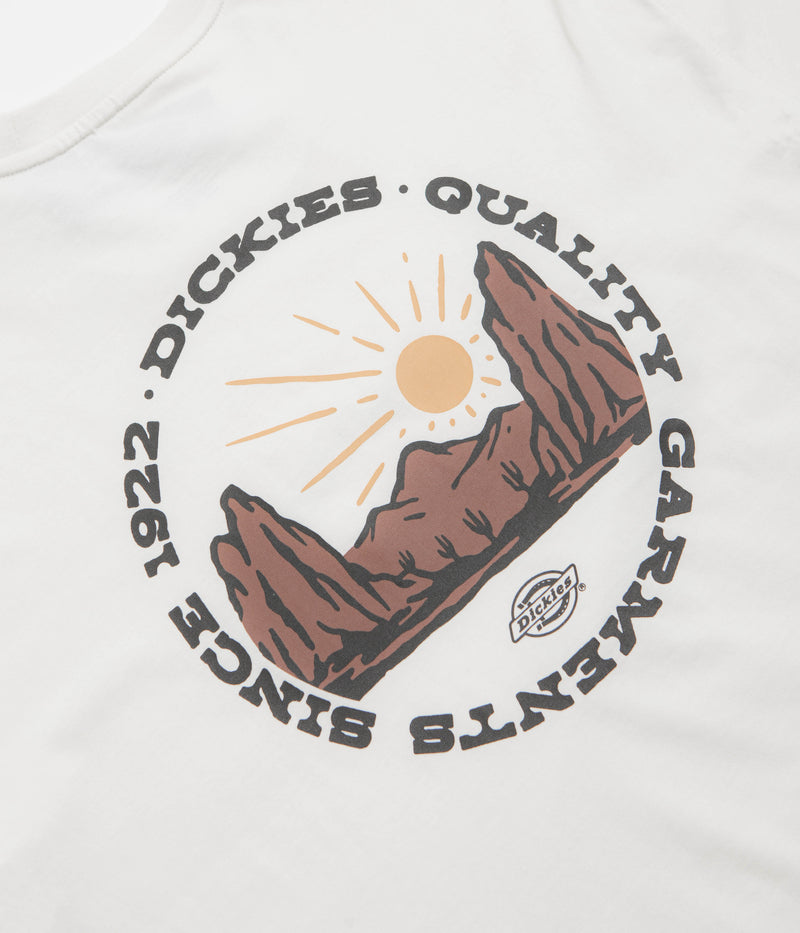 Dickies Dickies Outdoor T-Shirt in Egret