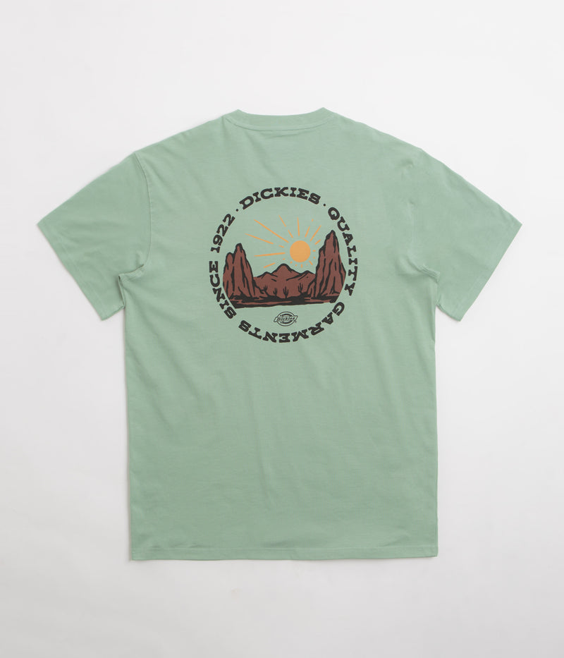 Dickies Dickies Outdoor T-Shirt in Iceberg Green