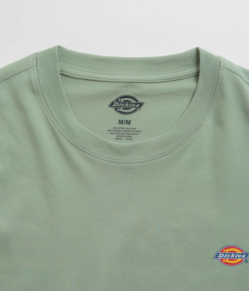 Dickies Mapleton T-Shirt in Iceberg Green