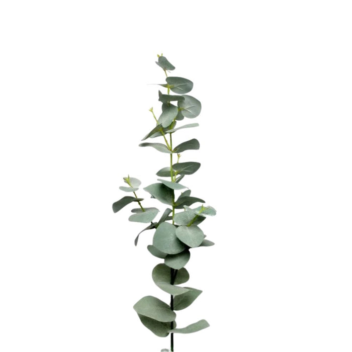 Eucalyptus Sprig Green