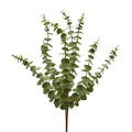 Eucalyptus Sprig, Large
