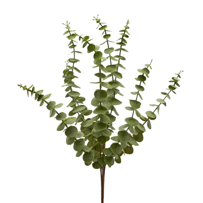 Eucalyptus Sprig, Large