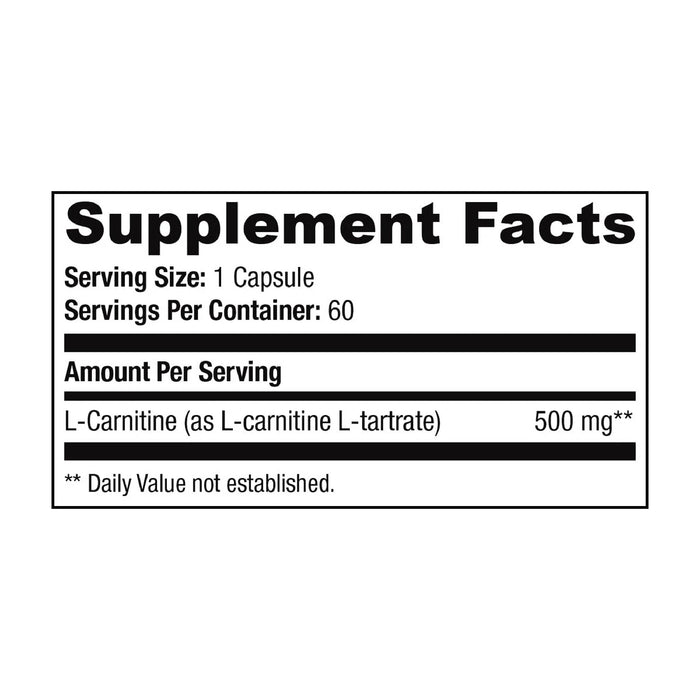 Fasted Cardio Power Stack