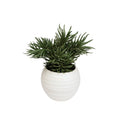 Faux Sedium Potted Plant Pod Furniture Ireland