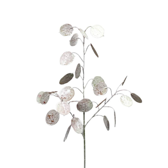 Faux Silver Dollar Spray Pod Furniture Ireland