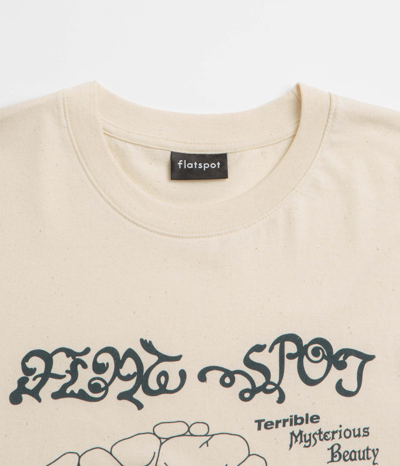 flatspot Terrible Mysterious Beauty T-Shirt in Natural Raw