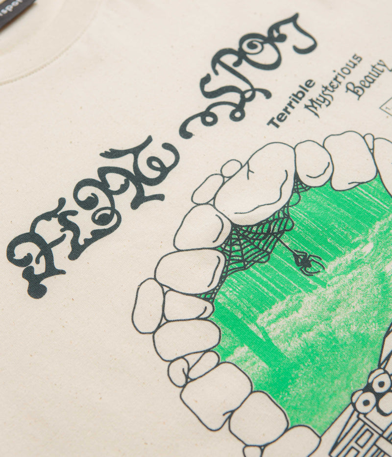 flatspot Terrible Mysterious Beauty T-Shirt in Natural Raw