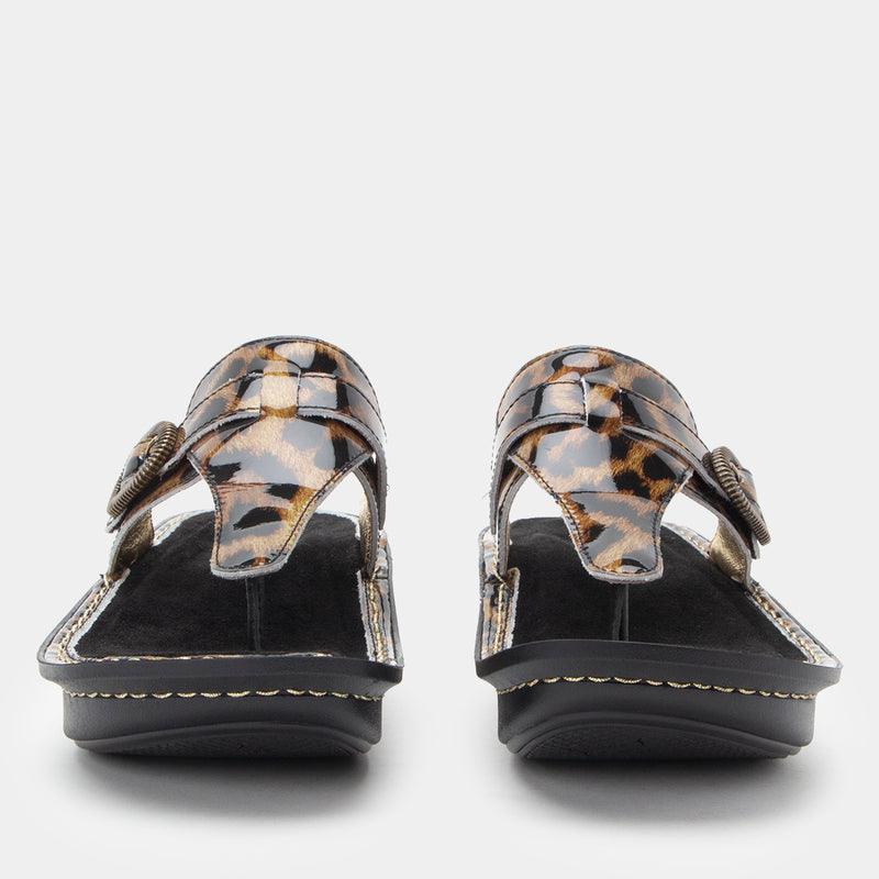 Kennedi Granimal Sandal | Alegria Shoes