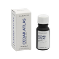 La Bougie Cedar Atlas Oil Blend