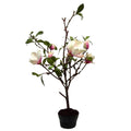 Magnolia Tree Vranckx