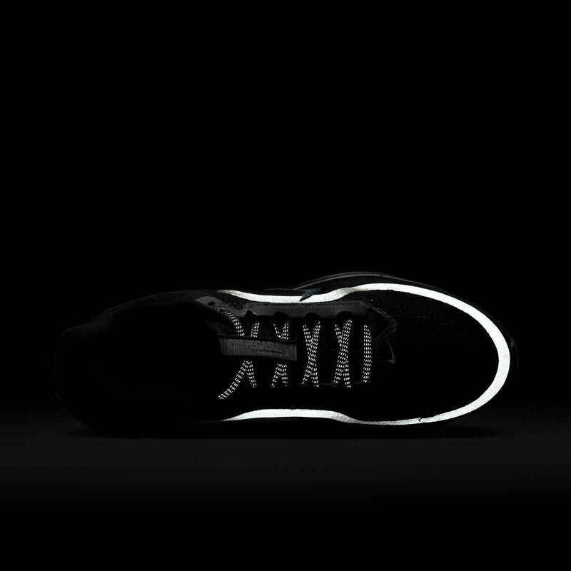 Men's Nike Pegasus Premium "Black Metallic Silver"