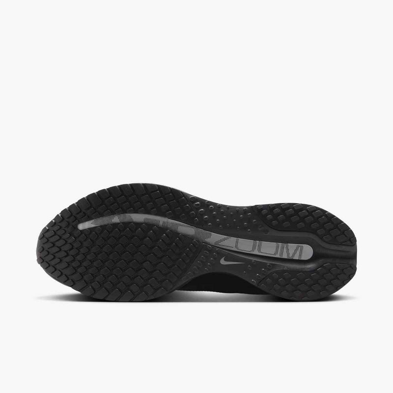 Men's Nike Pegasus Premium "Black Metallic Silver"