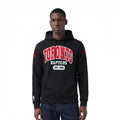 Men's Pro Standard Toronto Raptors Hoodie
