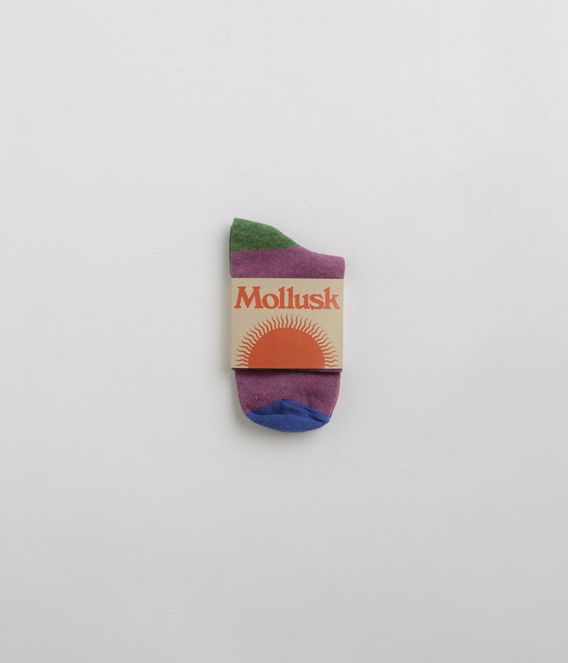 Mollusk Color Block Socks in Huckleberry