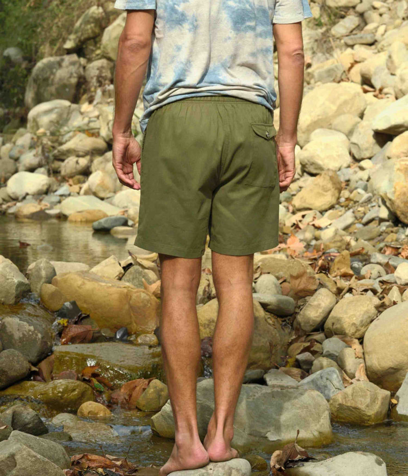 Mollusk Summer Shorts in Faded Mash Green