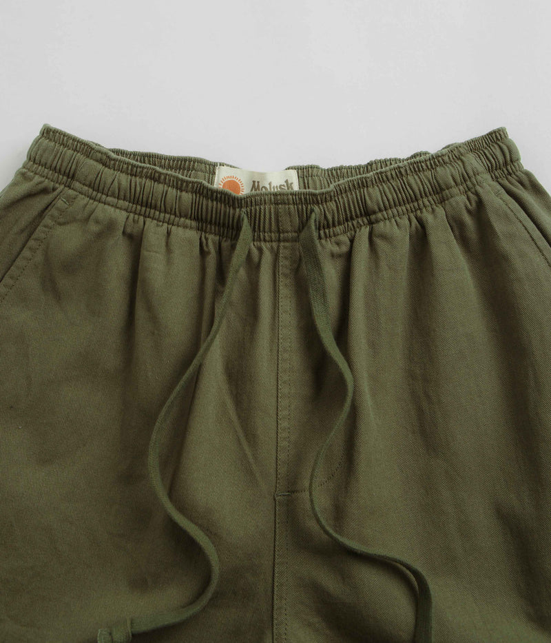 Mollusk Summer Shorts in Faded Mash Green