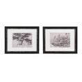 Nature Scene Wall Art - Set of 2